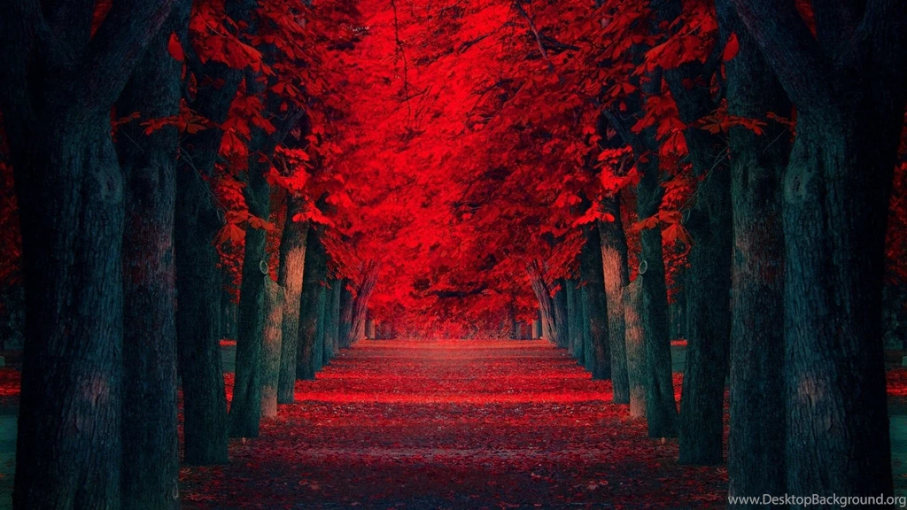 Red Tree Desktop Wallpapers