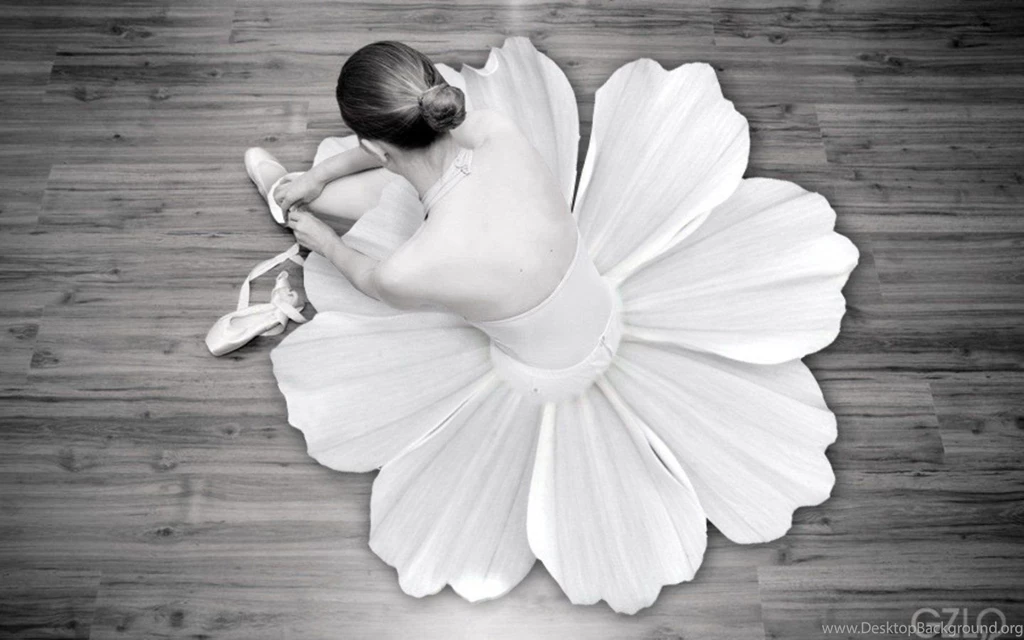Flowers Ballet Monochrome Dancers Ballet Shoes Wallpapers ...