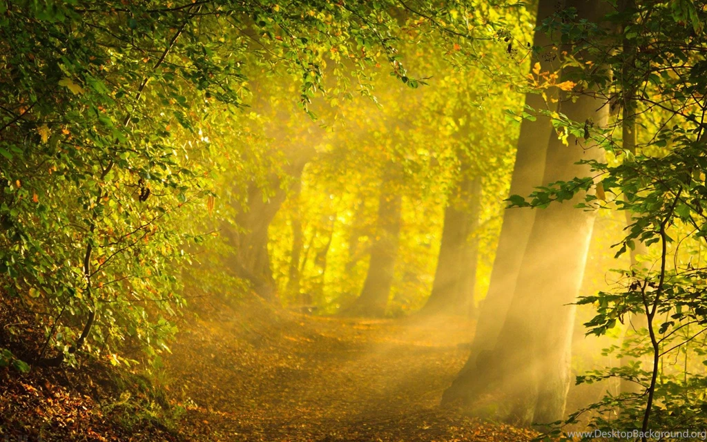 Sunshine Wallpapers >> Backgrounds With Quality HD