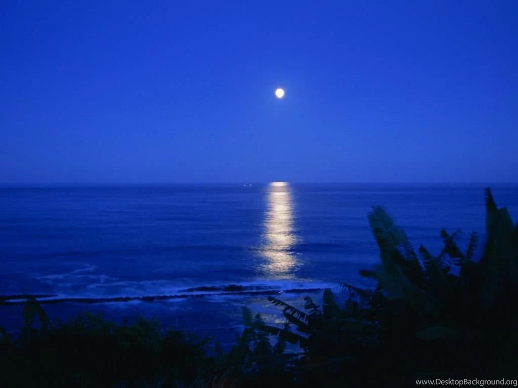 Night Beach Wallpapers Night Beach Wallpapers