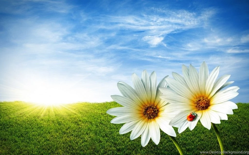 Www.wallpapereast.com Wallpapers Page 7