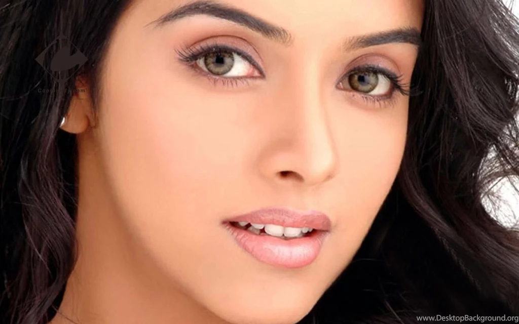 Asin Thottumkal HD Wallpapers HD Wallpapers Of Asin Thottumkal ...