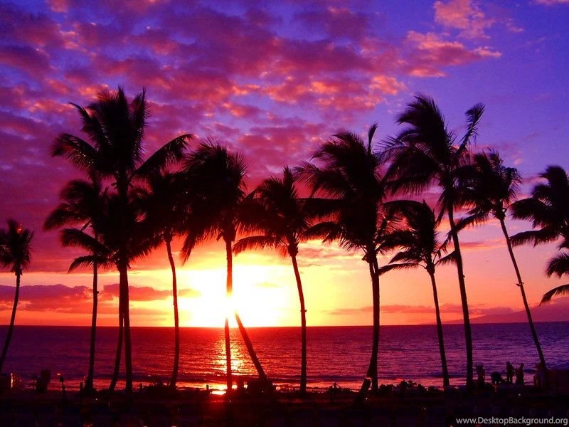 Beauty Sunset Hawaii Beach Wallpapers