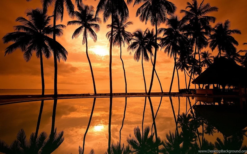 1440x900 Sunset Hawaii Beach Wallpapers