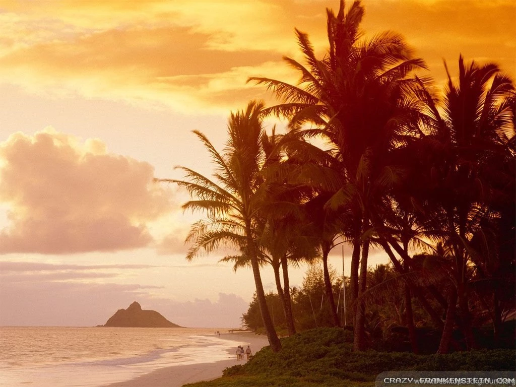 Hawaii Wallpapers 2   Crazy Frankenstein