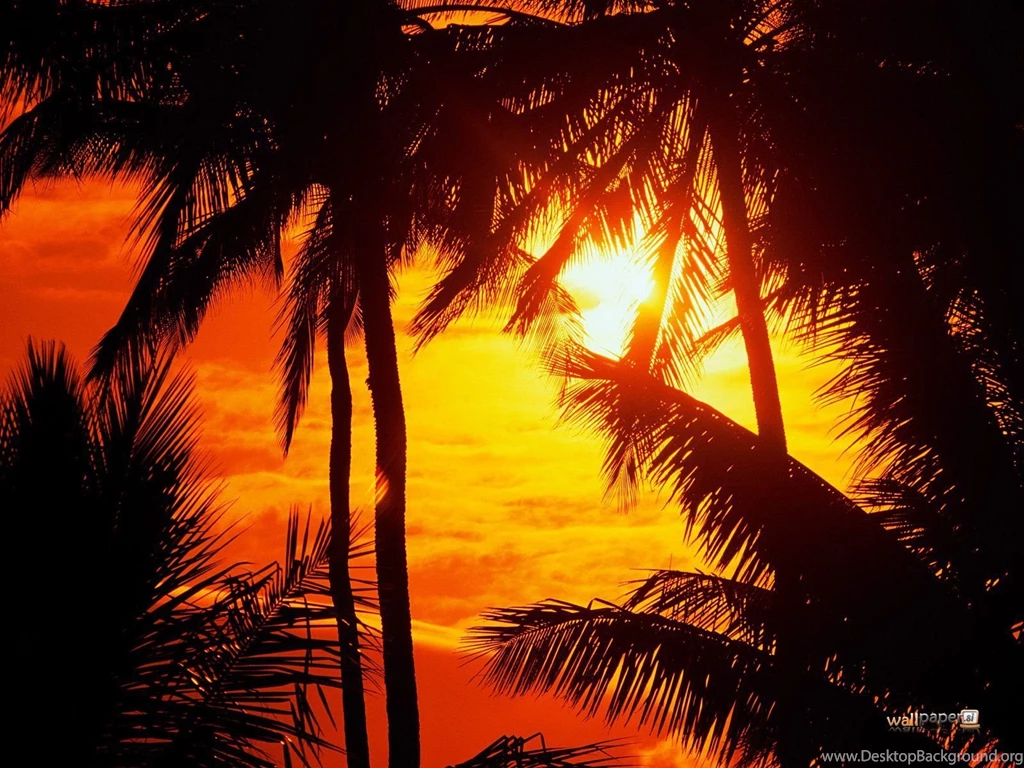 Hawaii Sunset Wallpapers 57792