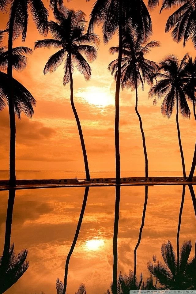 Hawaiian Beach Sunset Reflection HD Desktop Wallpapers : High ...