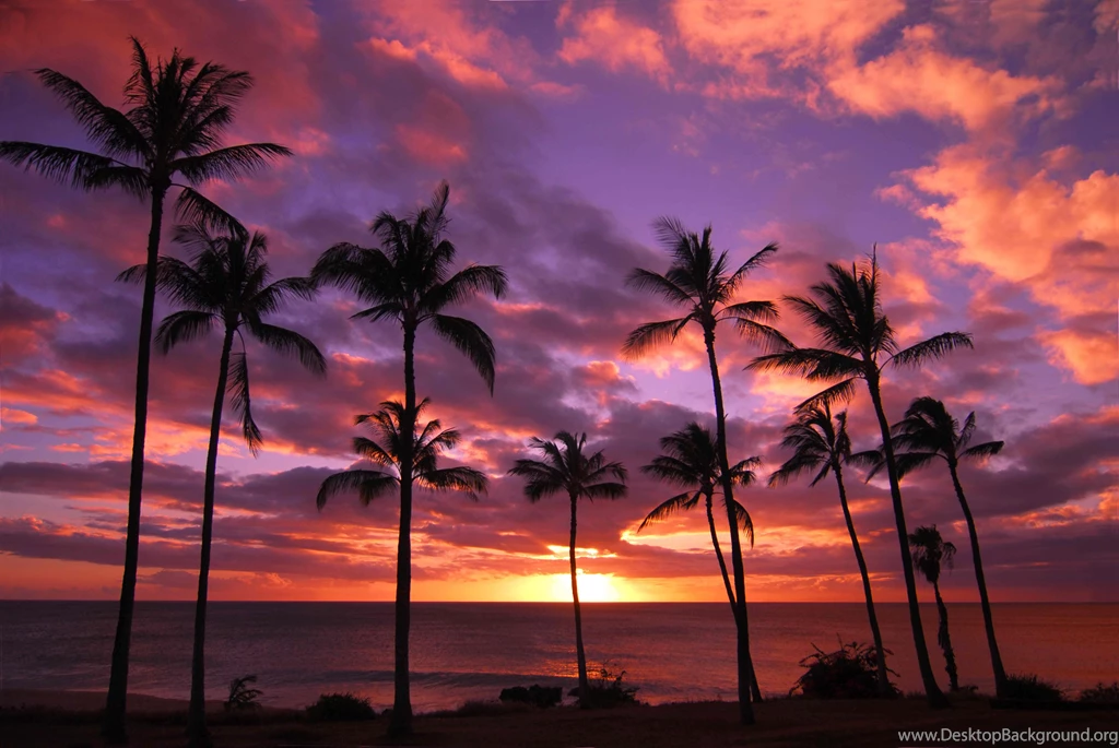 1280x854px Hawaii Sunset Free Wallpapers
