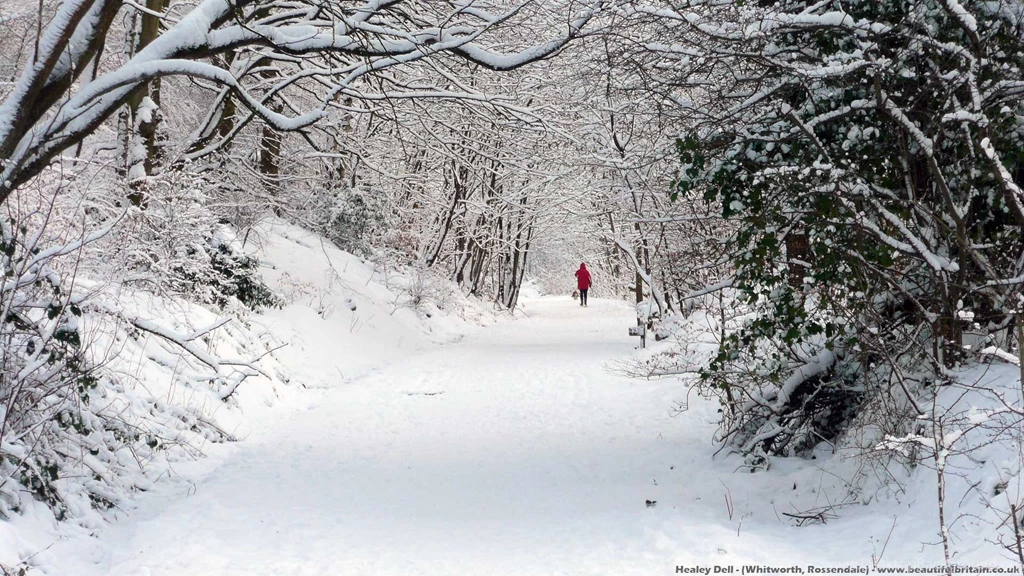 Winter Wallpapers Widescreen 1646784