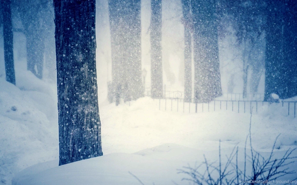 Nature Tree Tree Winter Snow Snowflakes Cool Blur Drifts Snow ...