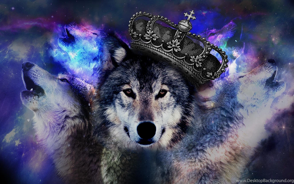 Wolf Wallpapers HD