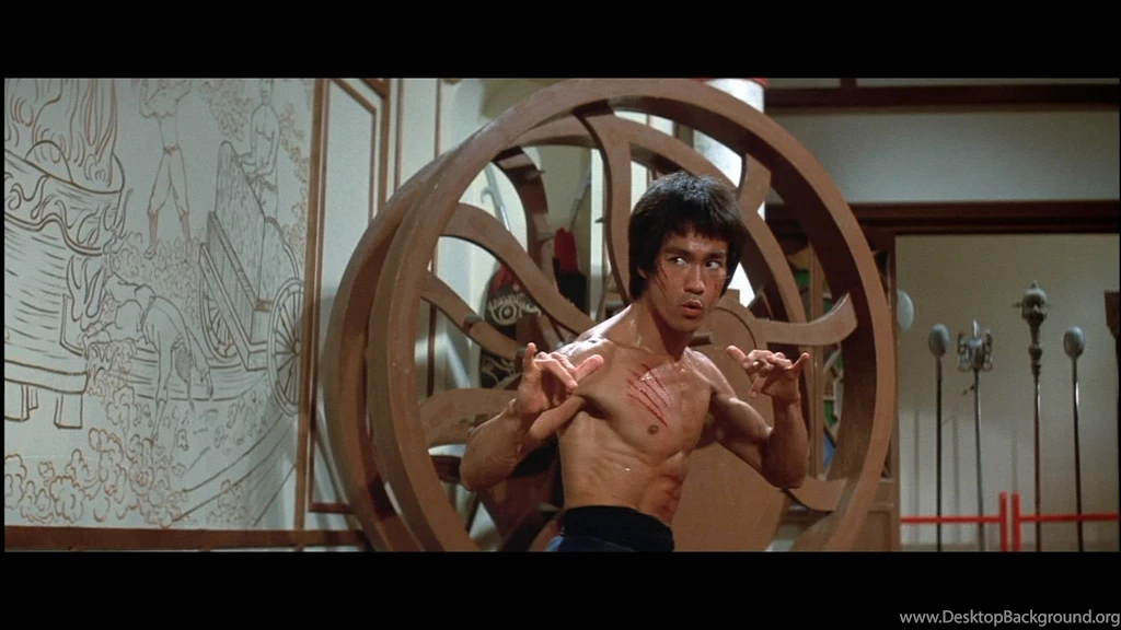 ENTER THE DRAGON Bruce Lee Martial Arts Movie Warrior Blood 0 ...