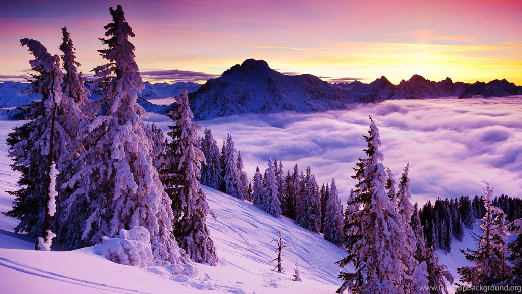 Winter Snow Wallpapers