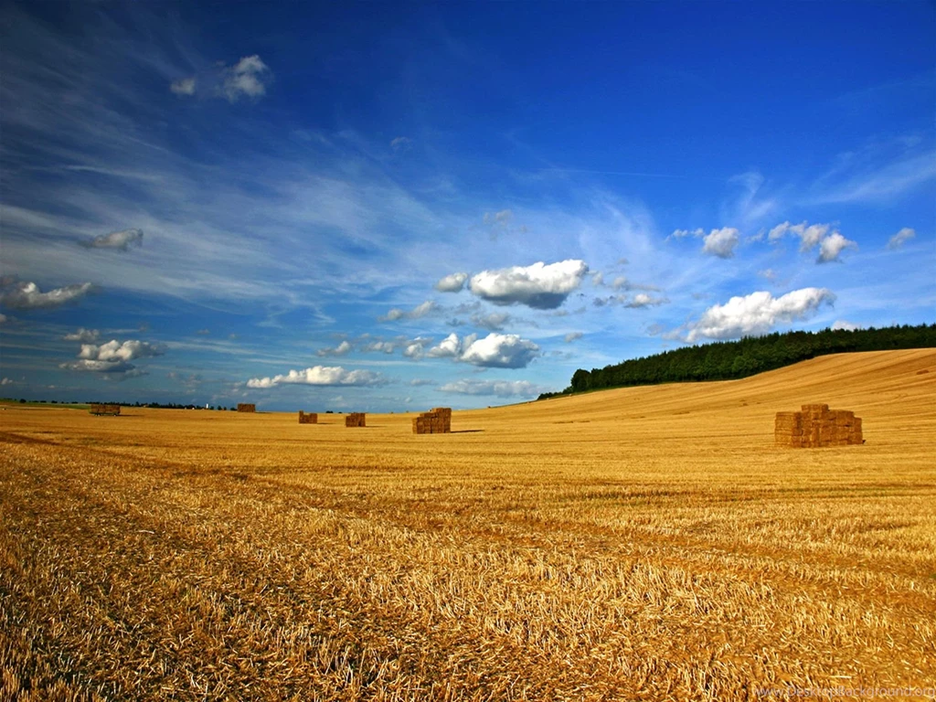 Beautiful Landscape Pictures