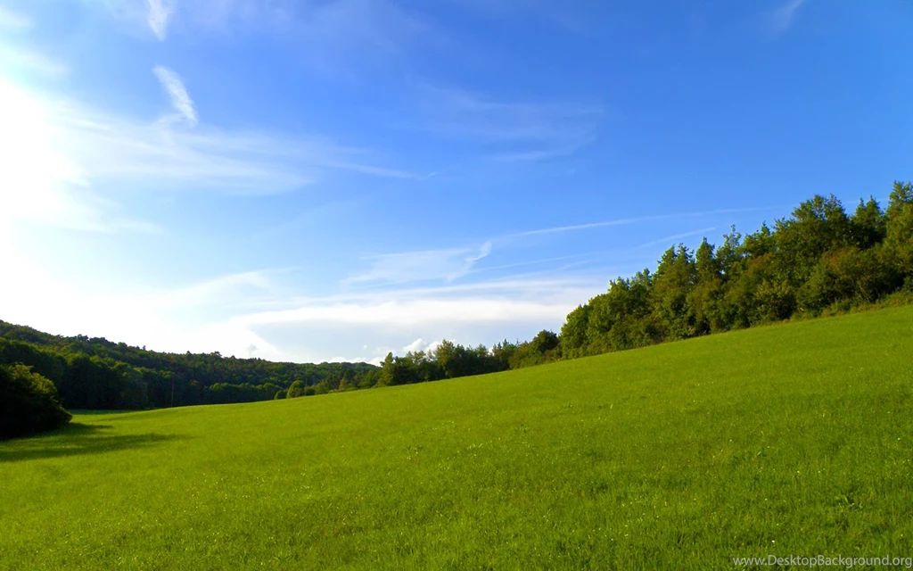 1920x1200px Beautiful Green Landscape Backgrounds