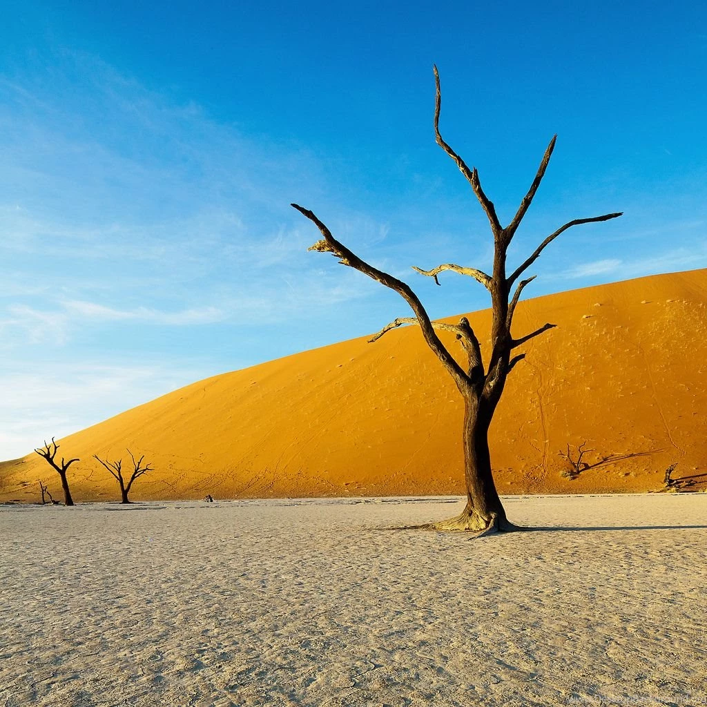 Free 2048 X 2048 iPad 3 Retina Wallpapers