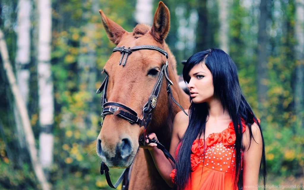 HD Wallpapers Fine: Horse Animal 2013 High Resolution Hd ...