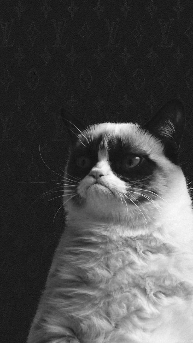 Grumpy Cat Louis Vuitton iPhone 5 Wallpapers (640x1136)