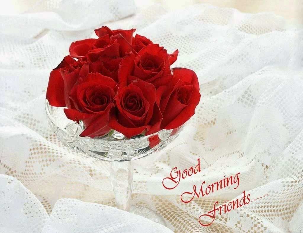 Lovely And Beautiful Good Morning Wallpapers ~ Allfreshwallpapers