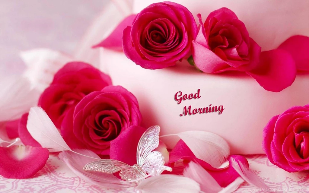 Lovely And Beautiful Good Morning Wallpapers ~ Allfreshwallpapers