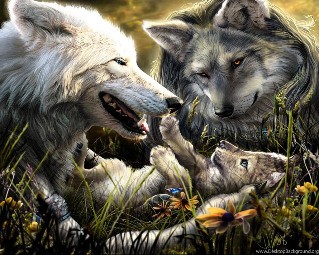Wolf Hd Wallpapers