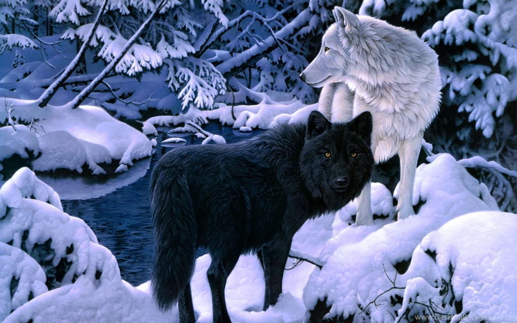 Wolf Wallpapers And Backgrounds Hd