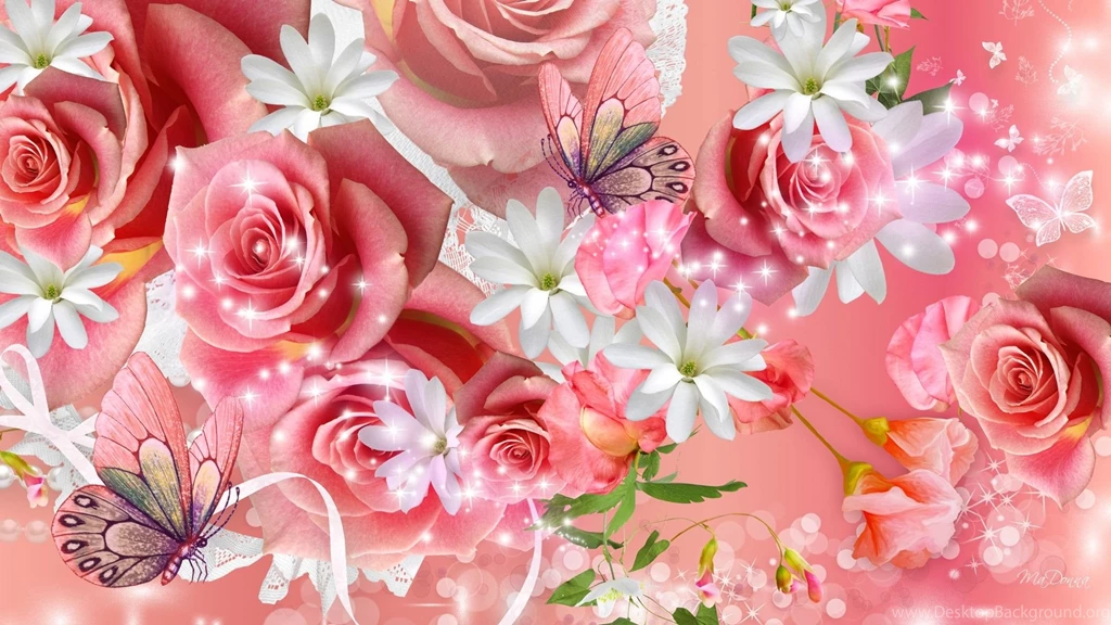 Pink Rose HD Wallpapers,