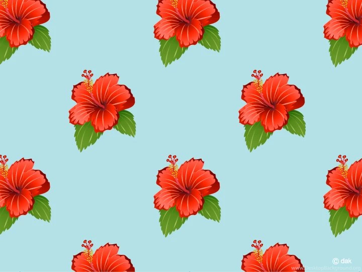 Hibiscus Flower Wallpaper|Free Desktop Wallpaper Backgrounds ...