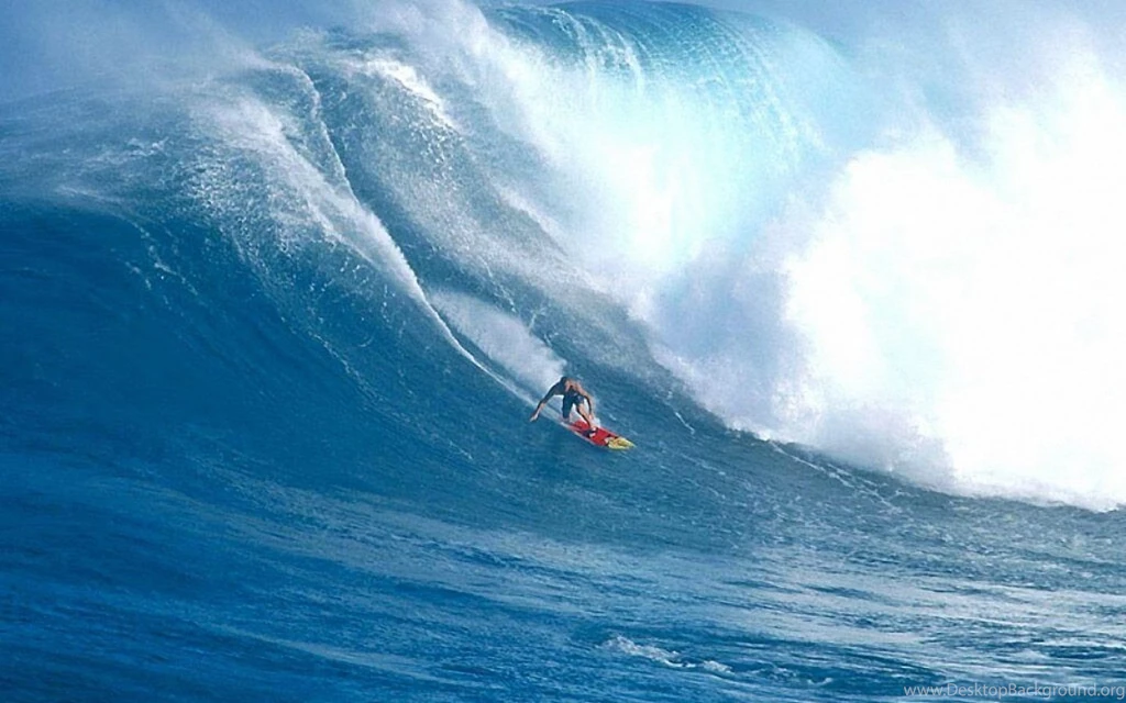 Surfing Riding The Big Wave 1440x900 Wallpapers, 1440x900 ...