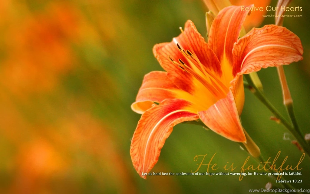 Revive Our Hearts Desktop Wallpapers