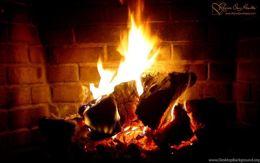 Cozy Fireplace
