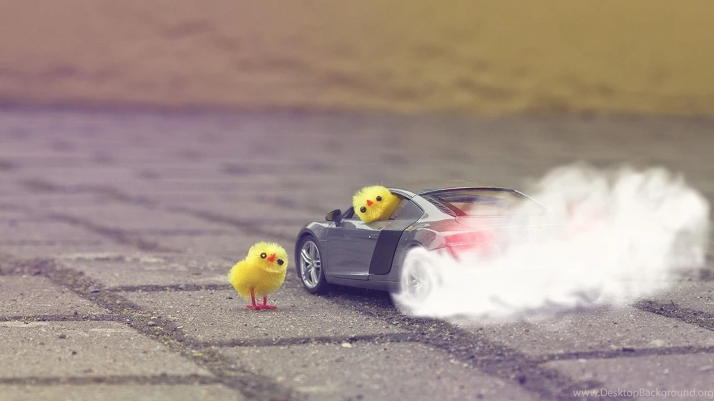 Audi R8 V8 Burnout Cars Chickens Wallpapers
