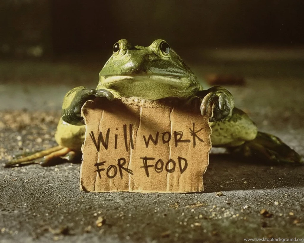 Funny Desktop Wallpapers For Work