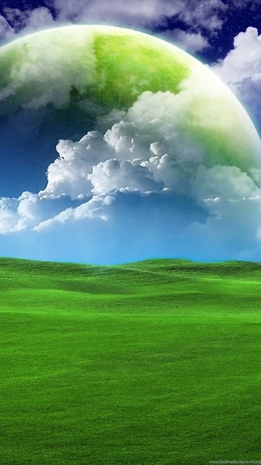Android W5.jpg