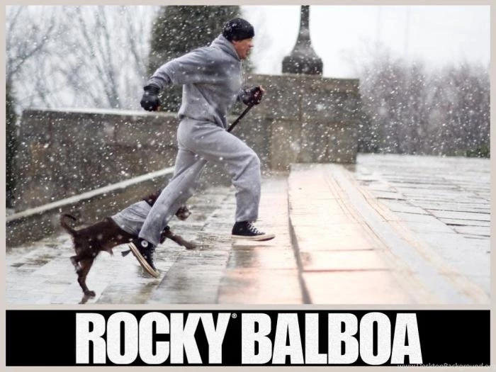 Rocky Balboa Wallpapers   Download