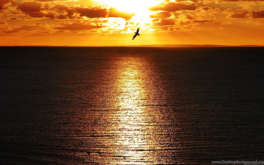 Ocean Sunset Wallpapers