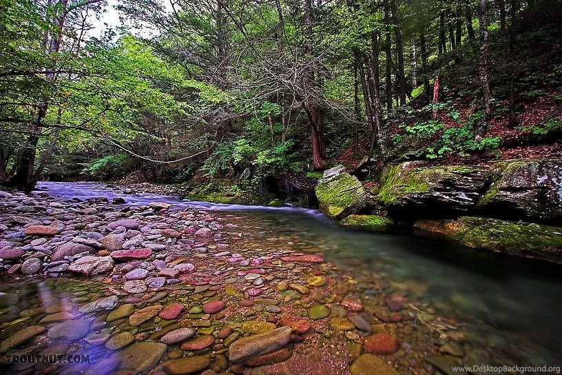 Rondout Creek