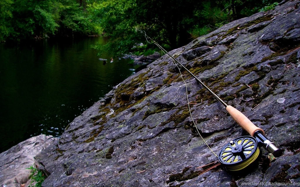 Trout Fishing Wallpapers Wallpapers Cave