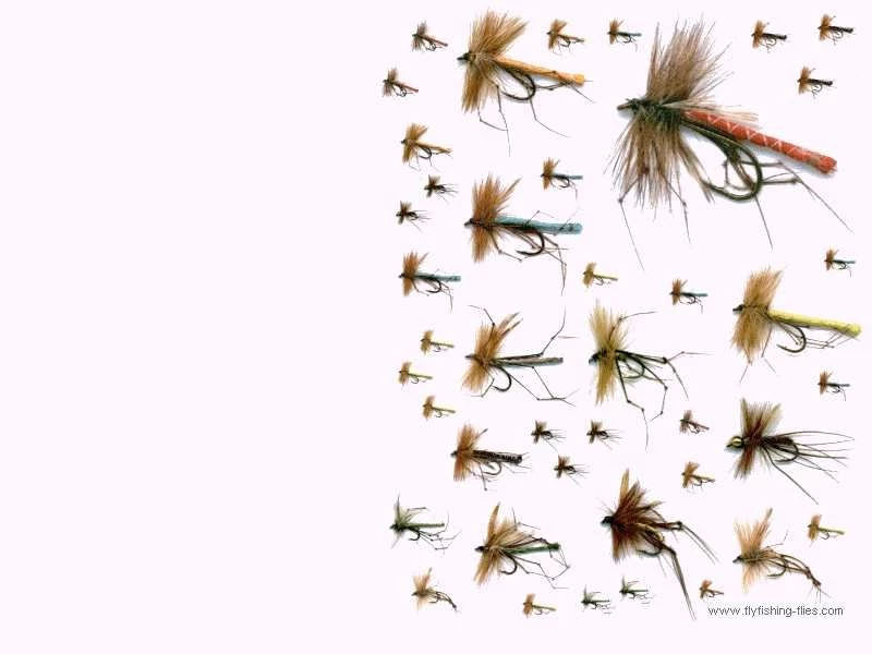 Fly Fishing Flies Computer Desktop Backgrounds Wallpapers