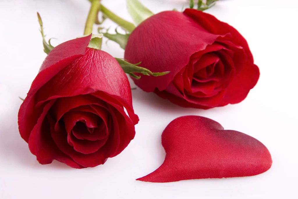 Red Rose Love Heart HD desktop Wallpapers