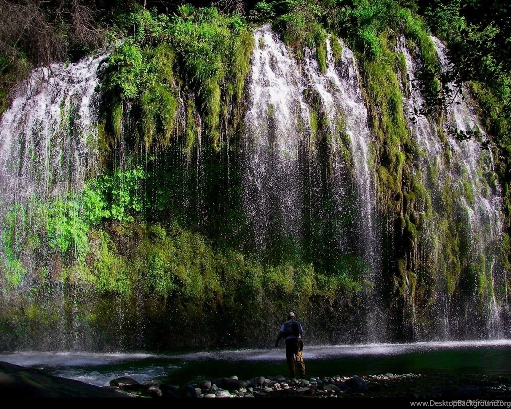 Fly Fishing Theday Blog HD Desktop Background Images