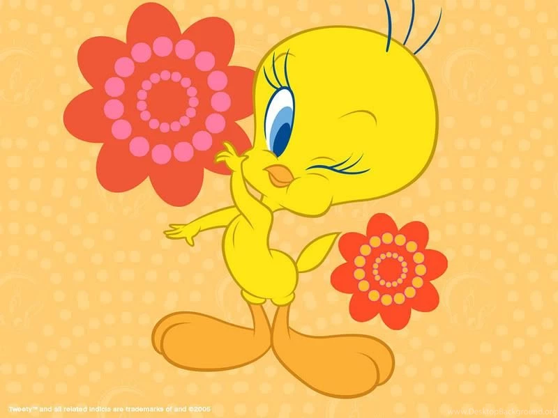 Sitorphicomp: Bird Wallpapers