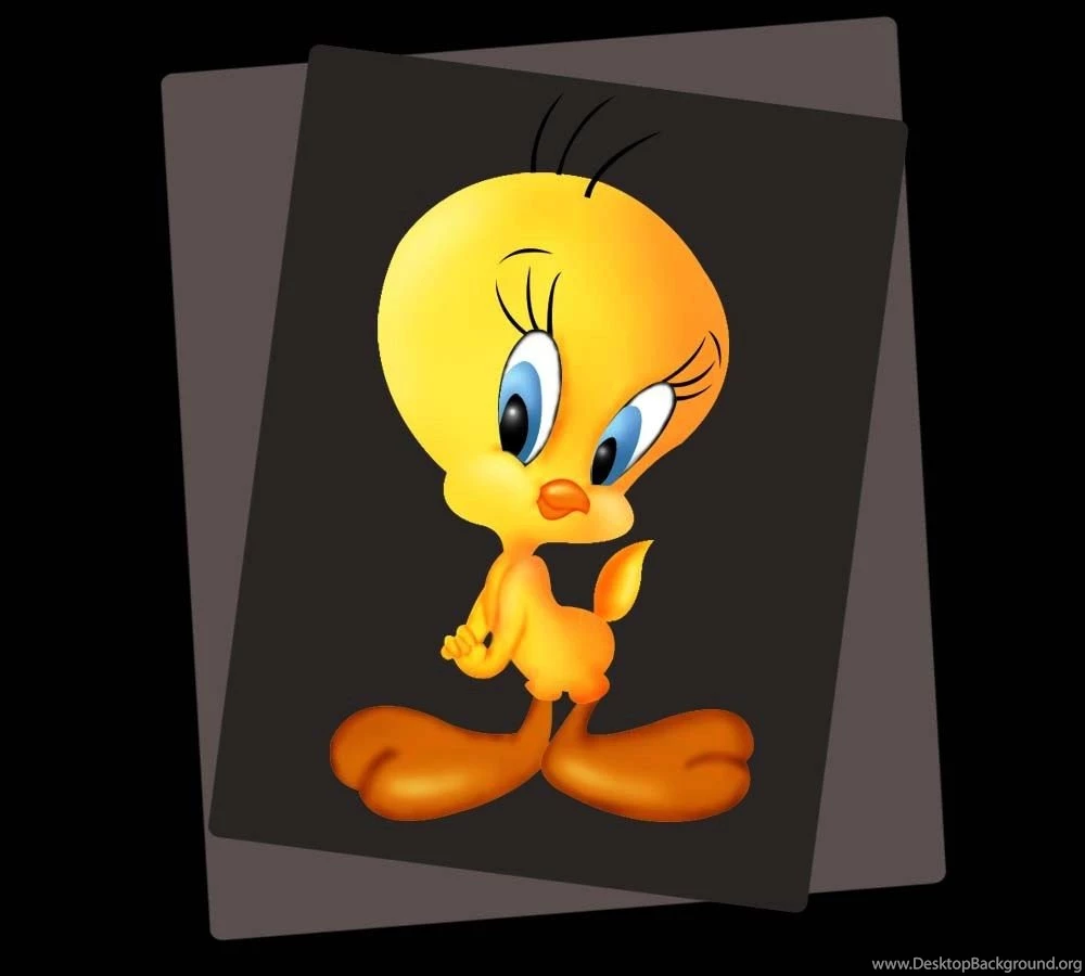 Tweety Wallpapers Hd Images & Pictures