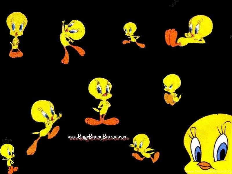 Tweety_wallpapers