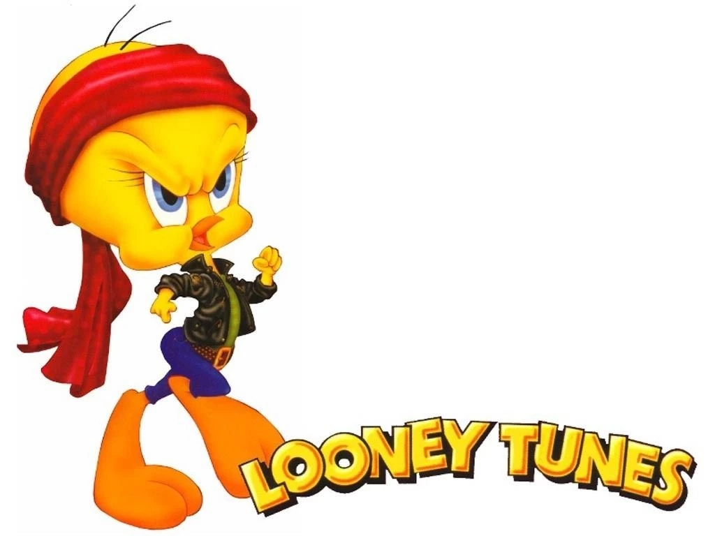 Tweety Bird On Pinterest