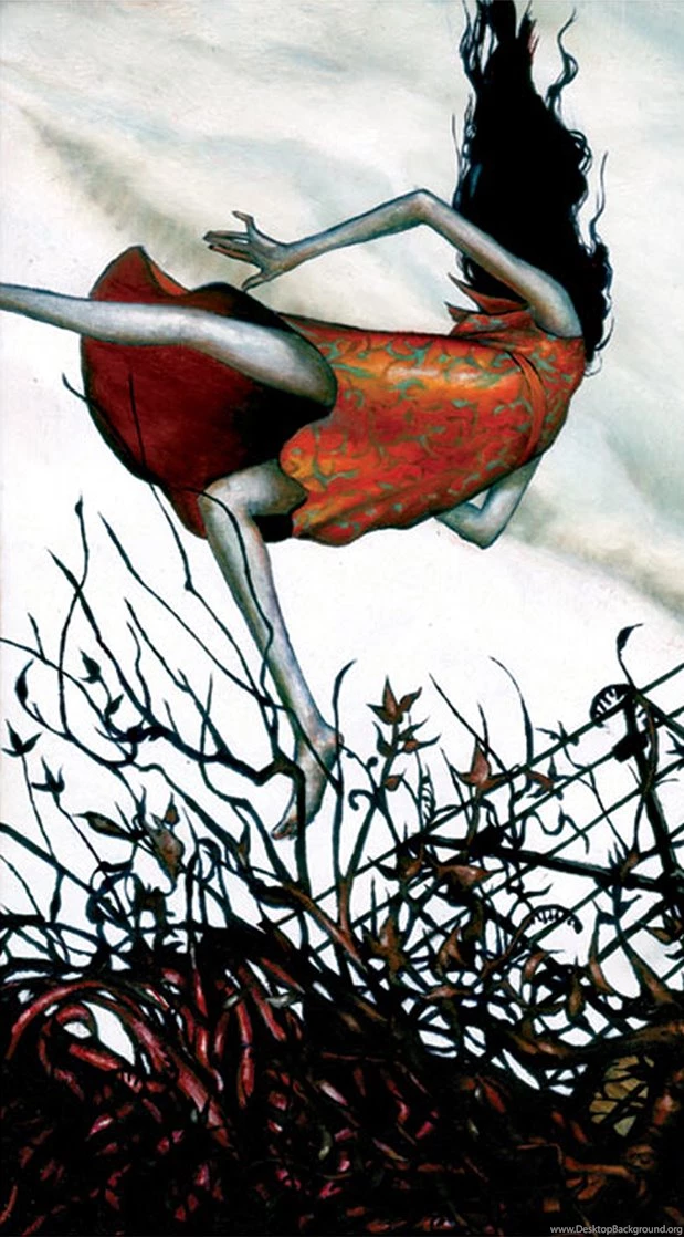 CIRCA BOARD Circa Survive / Esao Andrews