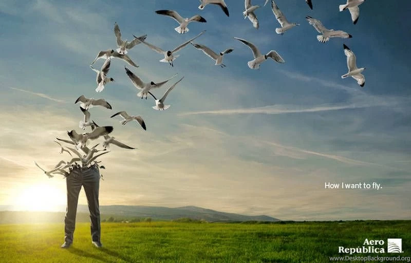 Strange Wallpapers   Sreyux