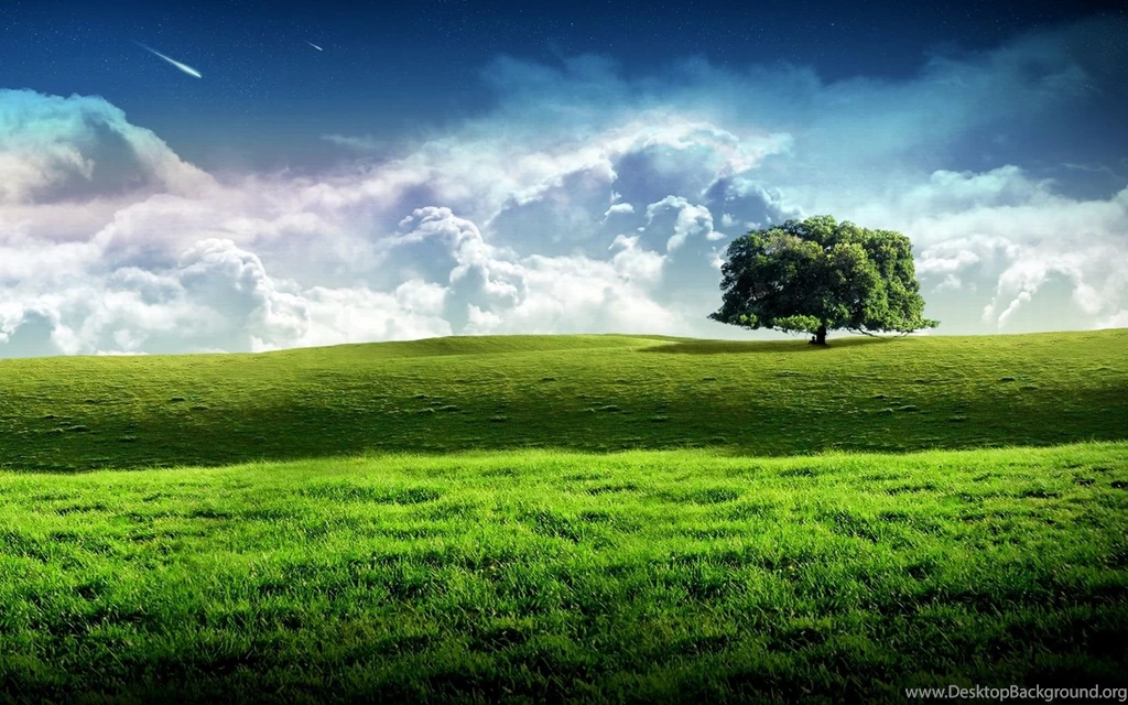 Windows Xp