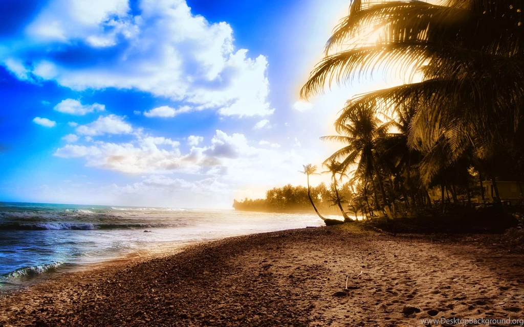 Sunny Bay Wallpapers