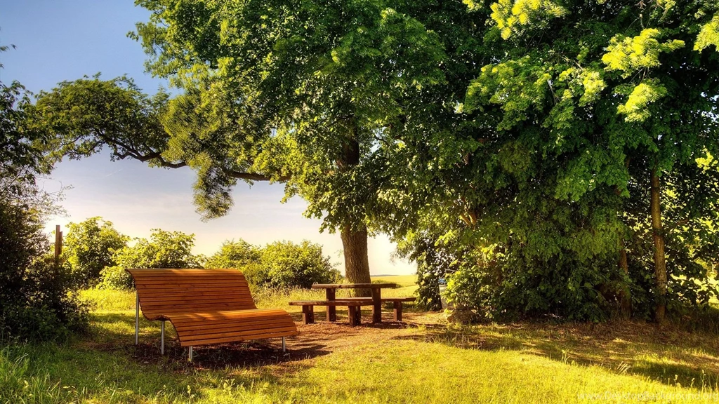A Sunny Day Hd Wallpapers ImgMob